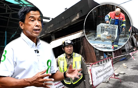 crackdown-on-pet-outlets-as-bangkok-governor-warns-any-new-chatuchak-centre-must-meet-standards