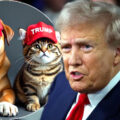 Springfield Ohio becomes ground zero for the US election after Trump’s bizarre debate night cats and dogs claim