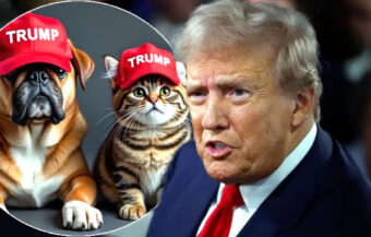 Springfield Ohio becomes ground zero for the US election after Trump’s bizarre debate night cats and dogs claim